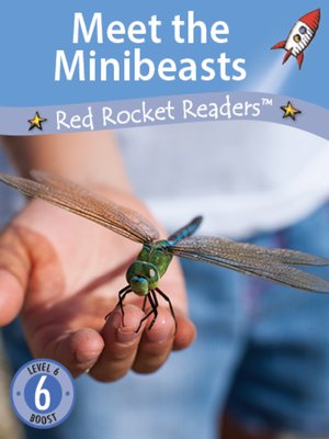 cover image of Meet the Minibeasts